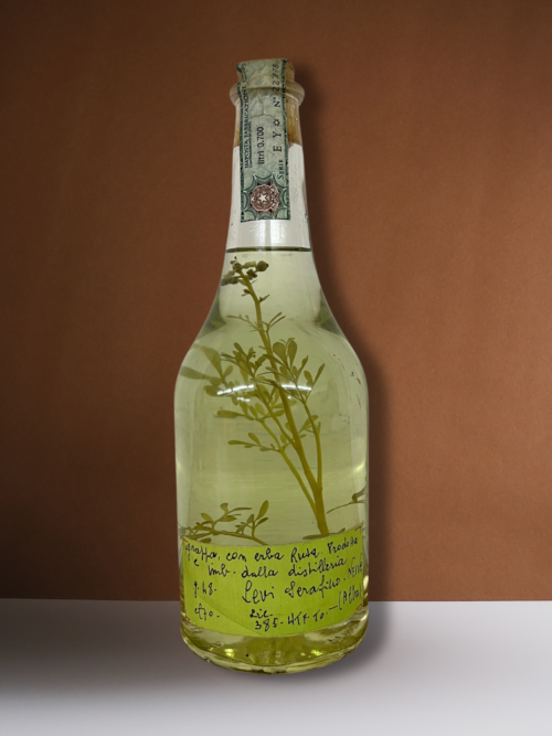 Levi Grappa, con erbe, "Das Original" von Romano Levi persönlich